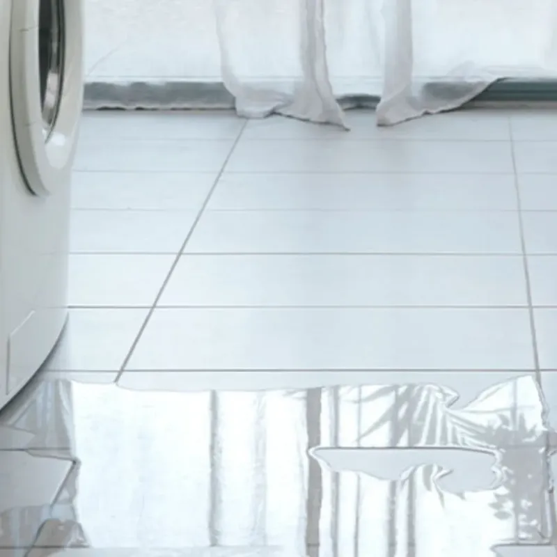 Appliance Leak Cleanup in Commerce, TX