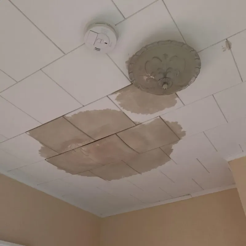 Ceiling Water Damage Repair in Commerce, TX