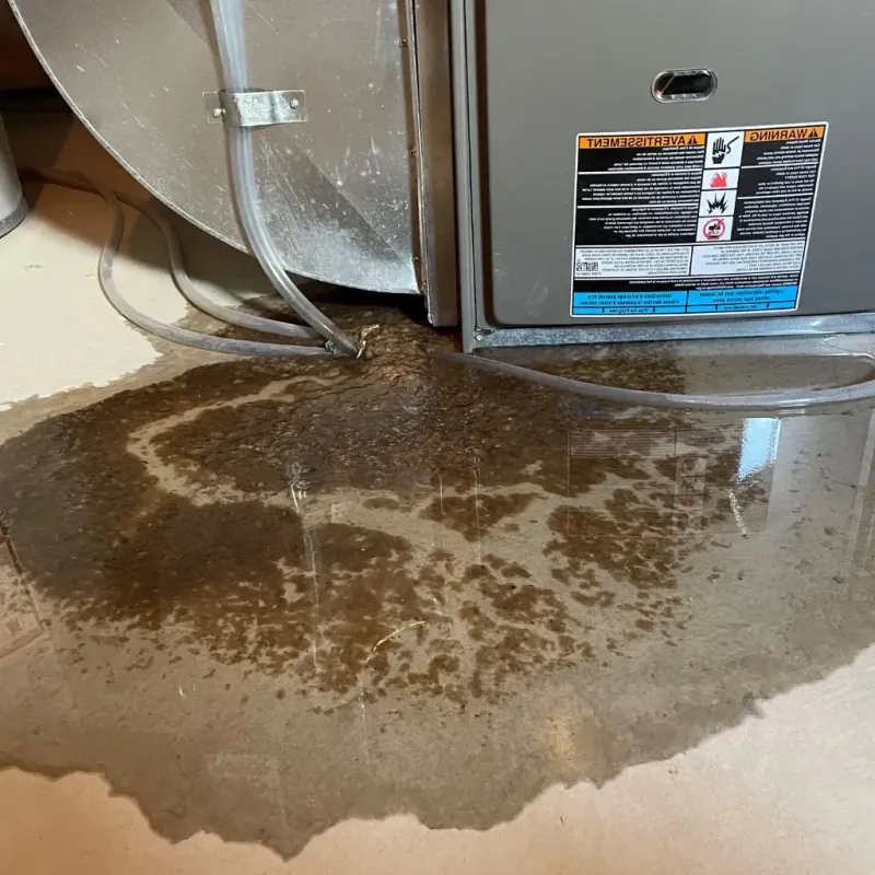 Pipe Burst and Leak Restoration in Commerce, TX