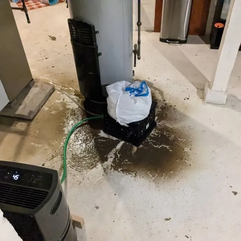 Sewage Backup Cleanup Service in Commerce, TX